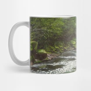 Exit The Strid Mug